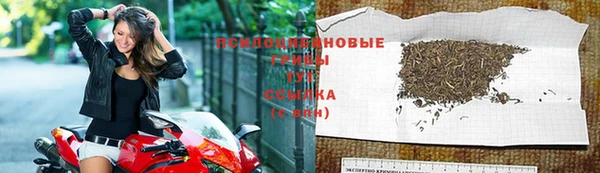прущие крисы Беломорск