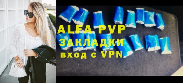 шишки Белокуриха