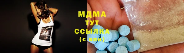 шишки Белокуриха