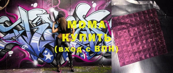 шишки Белокуриха